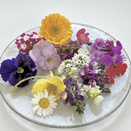 ミー me 〜babygreens&edible flowers〜 | 高品質マイクロリーフ